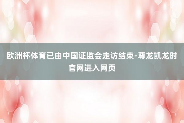欧洲杯体育已由中国证监会走访结束-尊龙凯龙时官网进入网页