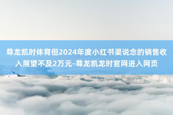 尊龙凯时体育但2024年度小红书渠说念的销售收入展望不及2万元-尊龙凯龙时官网进入网页