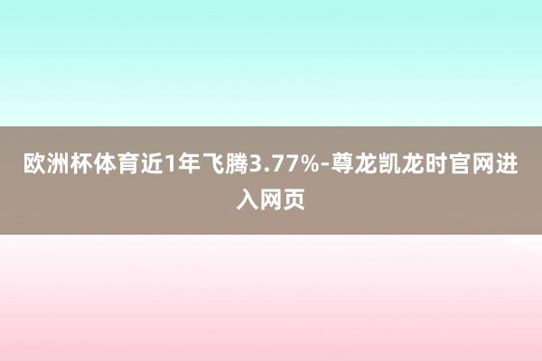 欧洲杯体育近1年飞腾3.77%-尊龙凯龙时官网进入网页