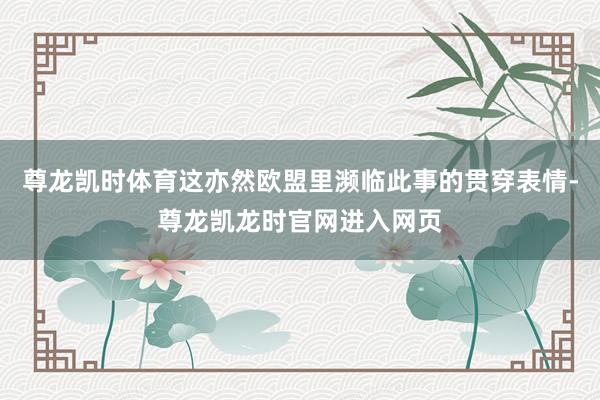 尊龙凯时体育这亦然欧盟里濒临此事的贯穿表情-尊龙凯龙时官网进入网页