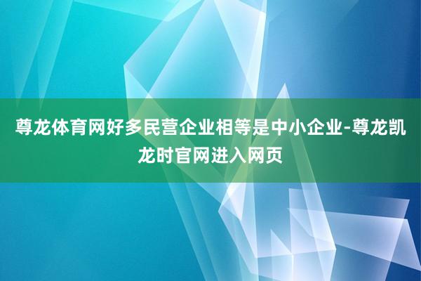 尊龙体育网好多民营企业相等是中小企业-尊龙凯龙时官网进入网页