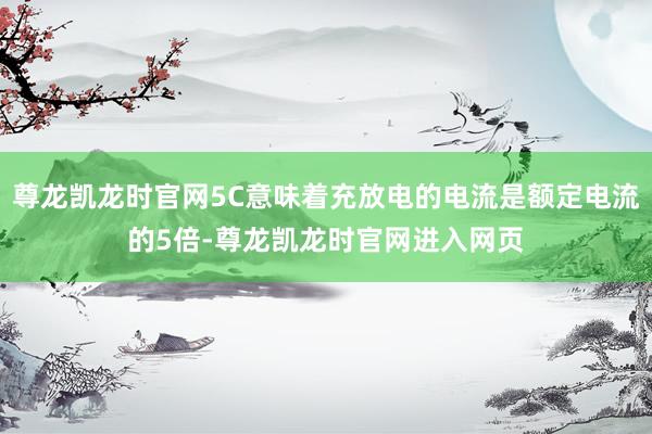 尊龙凯龙时官网5C意味着充放电的电流是额定电流的5倍-尊龙凯龙时官网进入网页