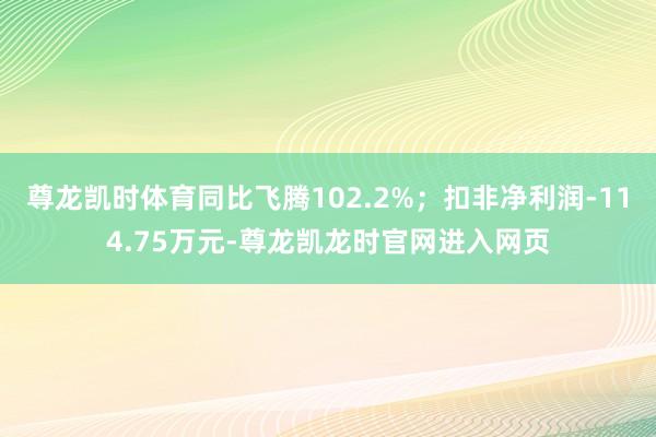 尊龙凯时体育同比飞腾102.2%；扣非净利润-114.75万元-尊龙凯龙时官网进入网页