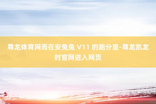 尊龙体育网而在安兔兔 V11 的跑分里-尊龙凯龙时官网进入网页
