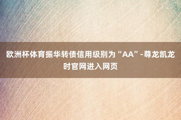 欧洲杯体育振华转债信用级别为“AA”-尊龙凯龙时官网进入网页